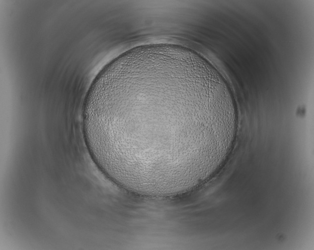X0000113930813200910231920