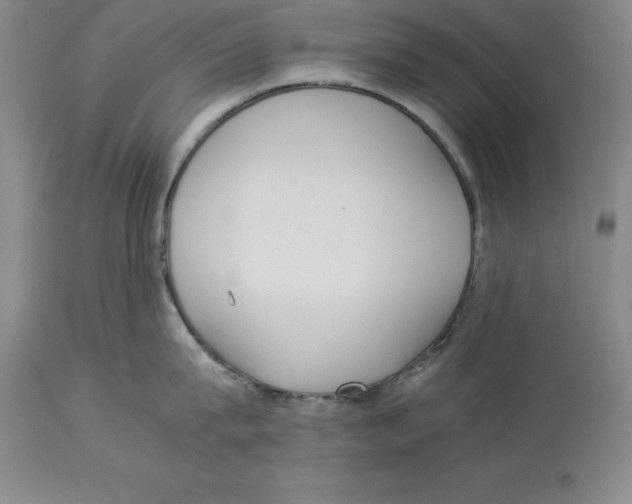 X0000113930815200910231920