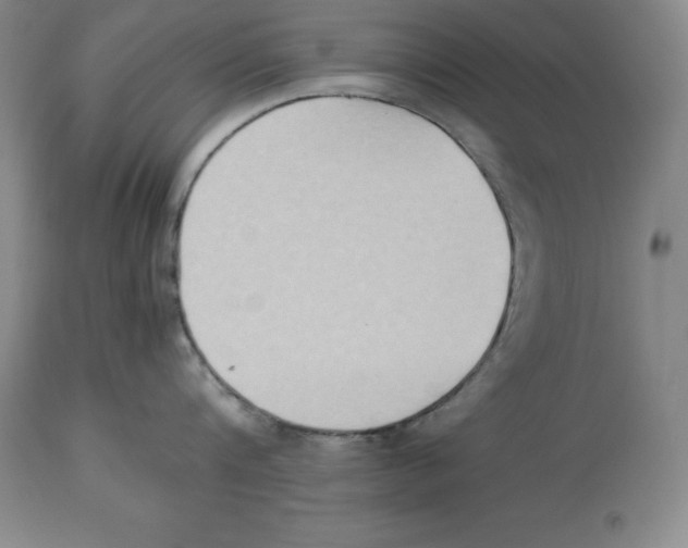 X0000113930816200910231920