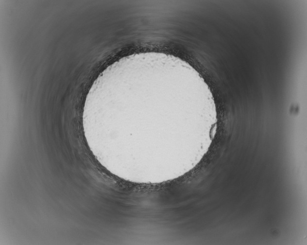 X0000113930817200910231919
