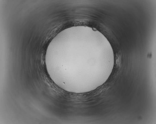X0000113930819200910231919