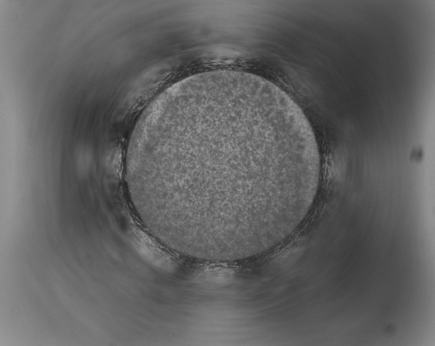 X0000113930820200910231919