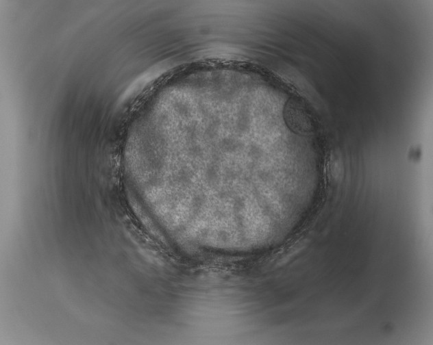X0000113930822200910231919