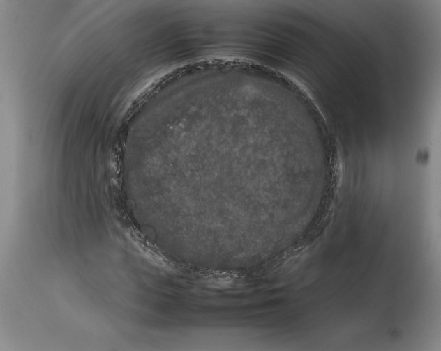X0000113930823200910231919