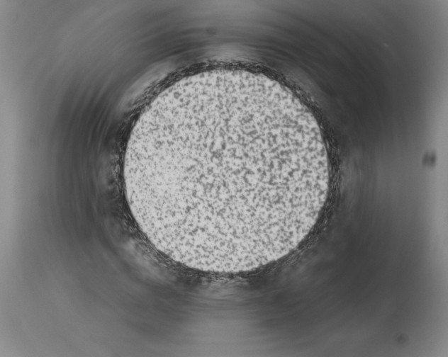 X0000113930824200910231919