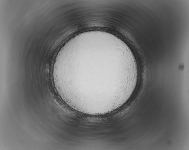 X0000113930825200910231919