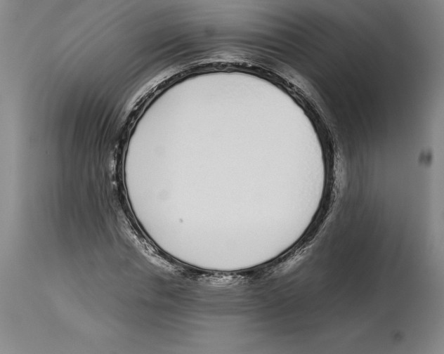 X0000113930826200910231919