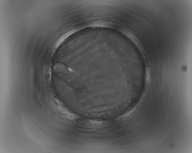 X0000113930829200910231919