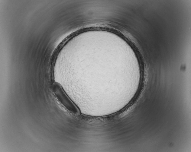 X0000113930830200910231919