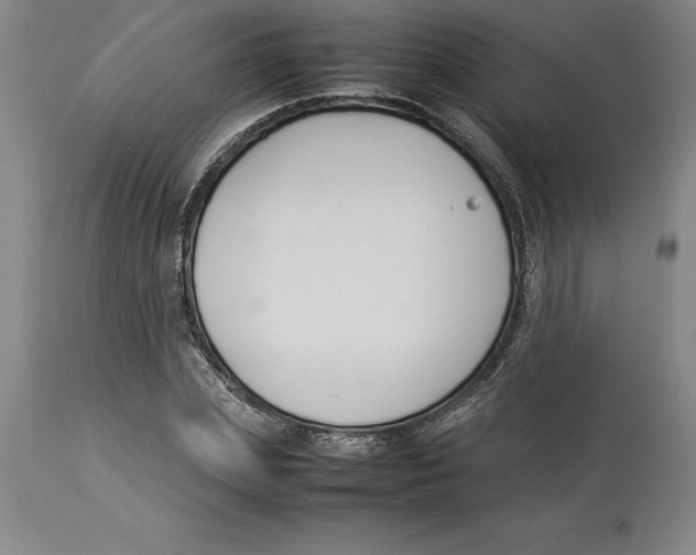 X0000113930831200910231919