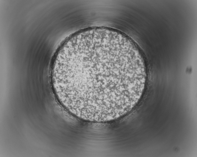 X0000113930832200910231919