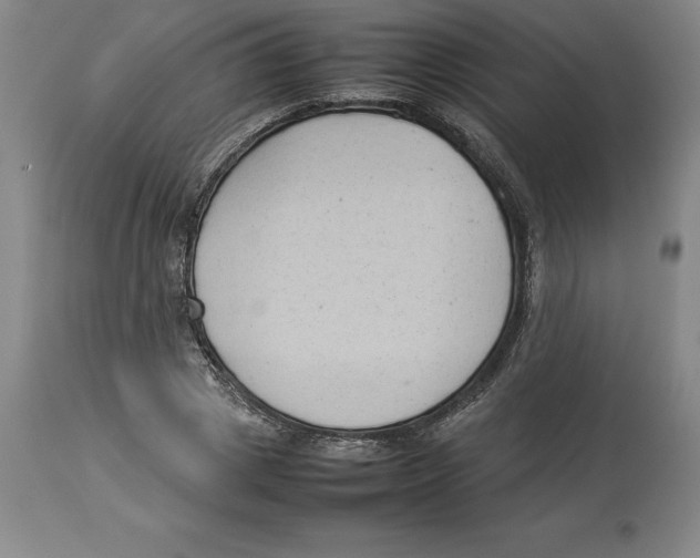 X0000113930833200910231919