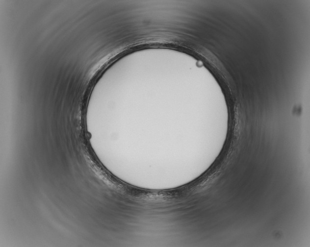 X0000113930834200910231919