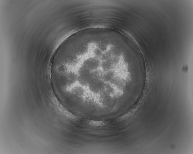 X0000113930835200910231919