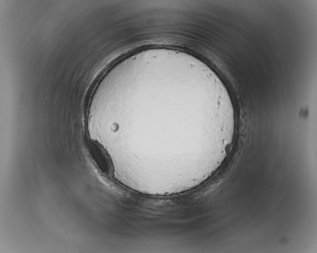 X0000113930837200910231919
