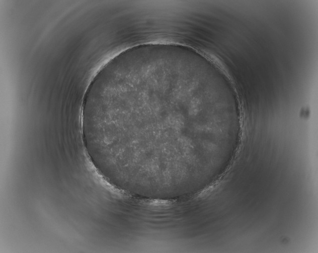X0000113930839200910231919