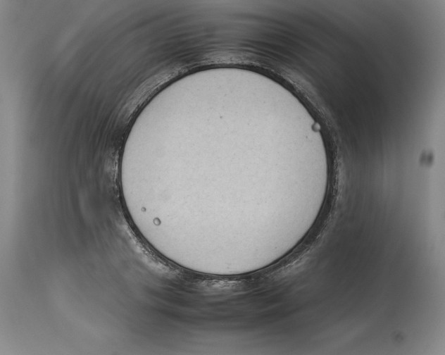 X0000113930841200910231919