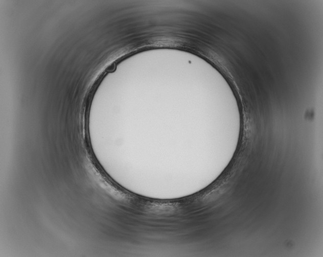 X0000113930843200910231919