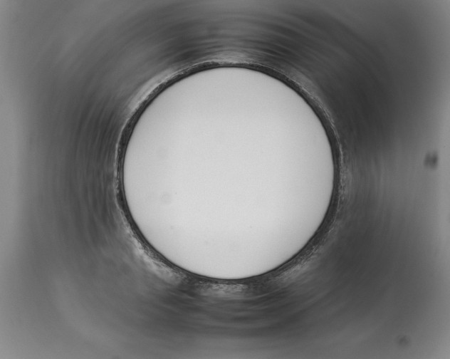 X0000113930845200910231919