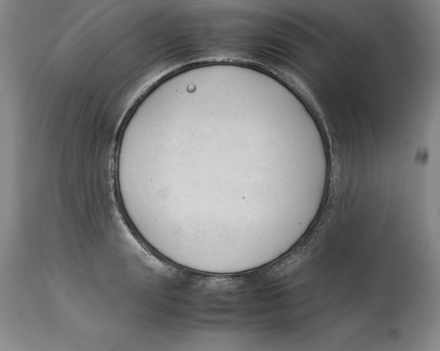 X0000113930847200910231919