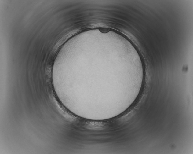 X0000113930849200910231920