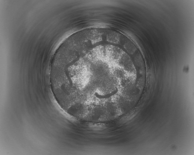X0000113930851200910231920