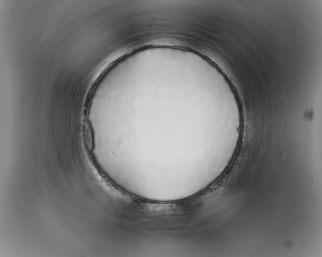 X0000113930853200910231920