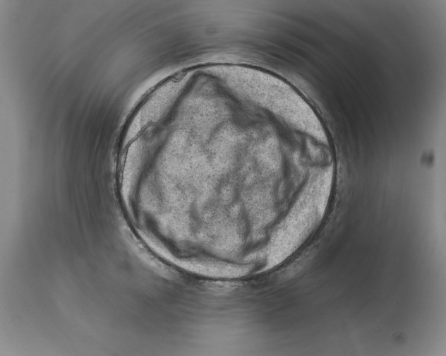 X0000113930854200910231920