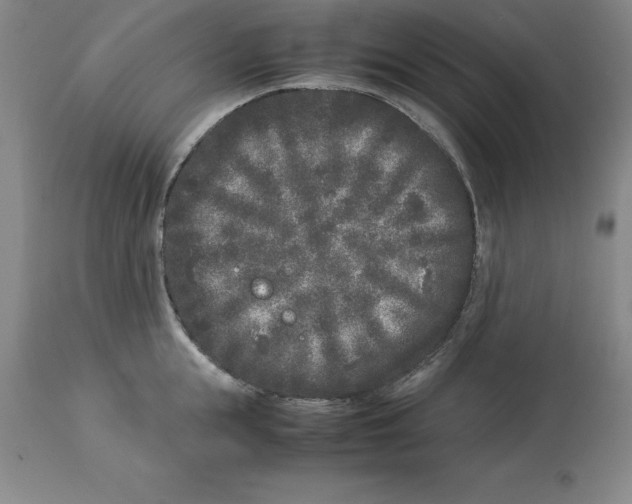 X0000113930855200910231920