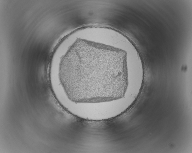 X0000113930856200910231920