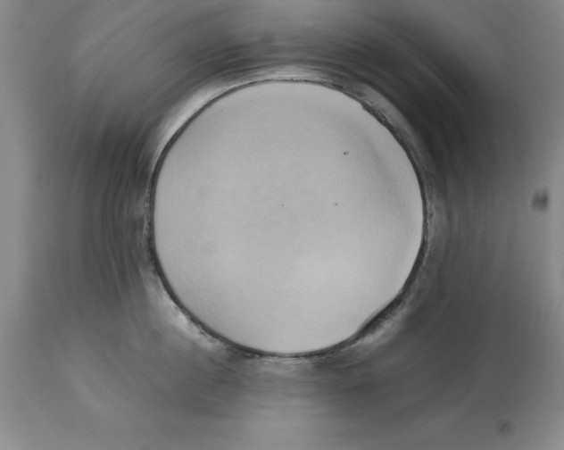 X0000113930860200910231920