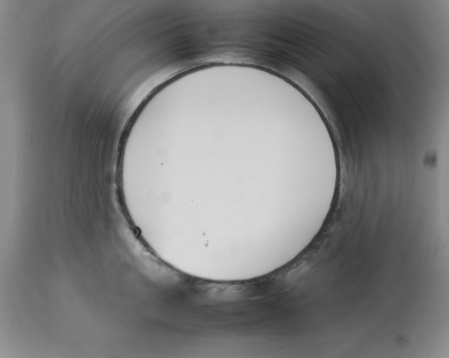 X0000113930861200910231920