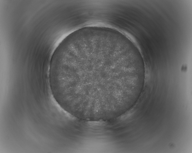 X0000113930863200910231920