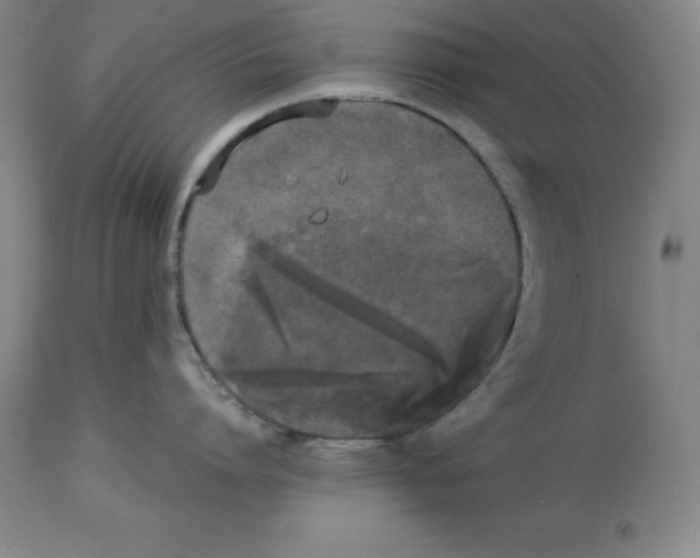 X0000113930864200910231920