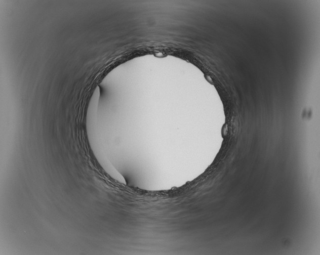 X0000113930865200910231919