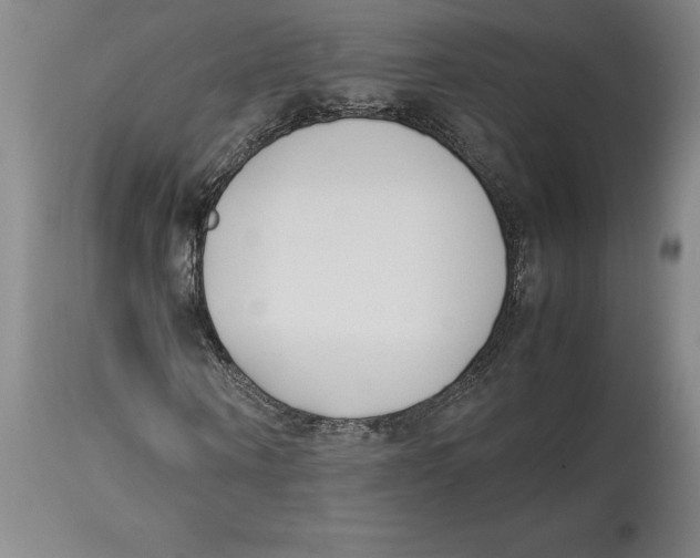 X0000113930866200910231919