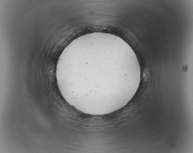 X0000113930867200910231919