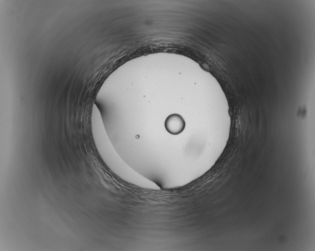 X0000113930868200910231919