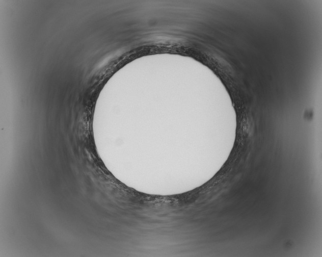 X0000113930869200910231919