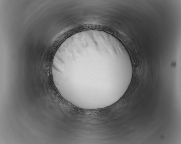 X0000113930870200910231919
