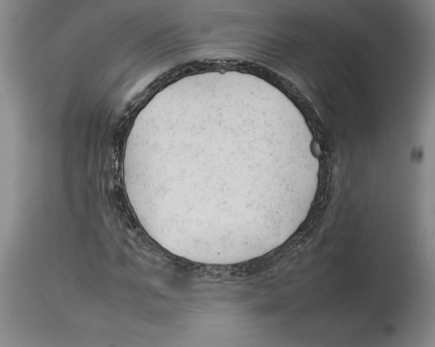 X0000113930871200910231919