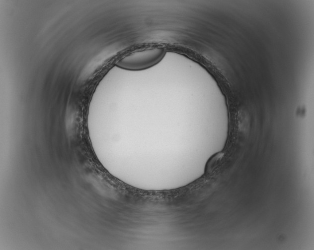 X0000113930872200910231919