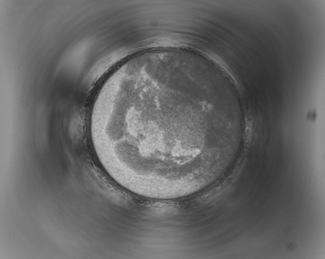 X0000113930874200910231919