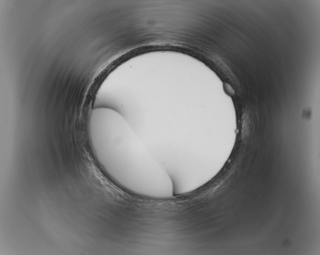 X0000113930876200910231919