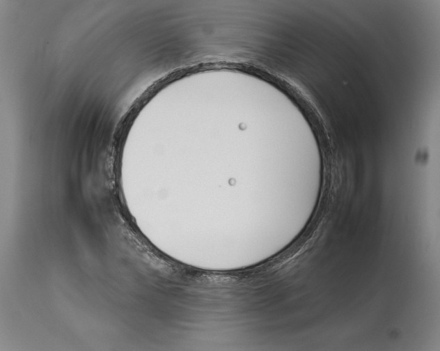 X0000113930878200910231919