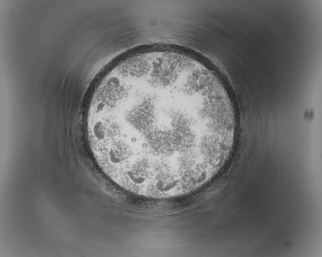 X0000113930879200910231919