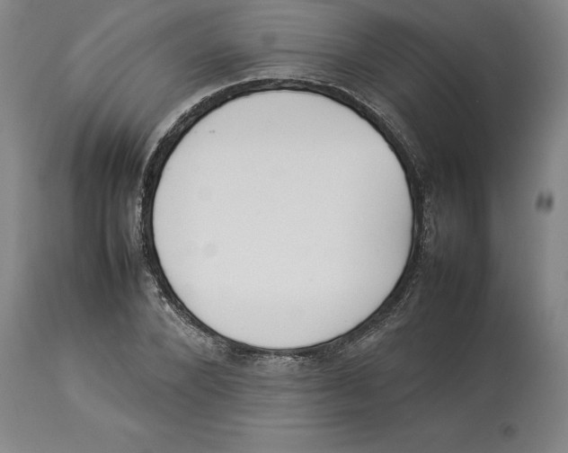 X0000113930880200910231919