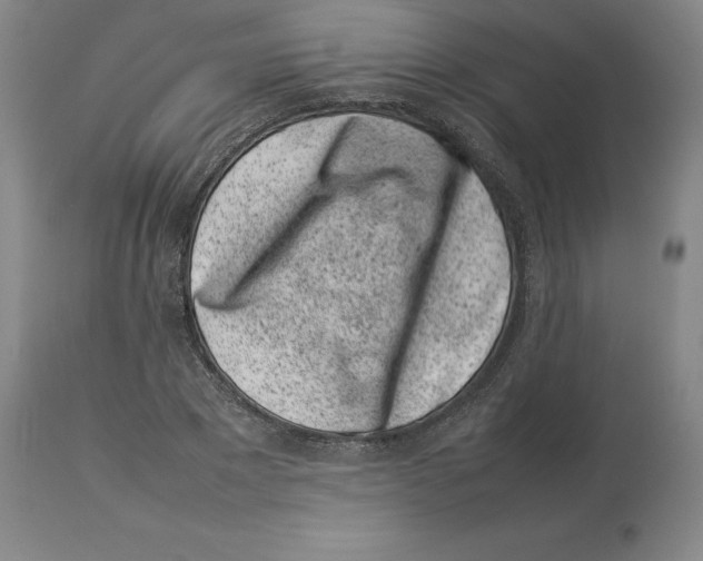 X0000113930881200910231919