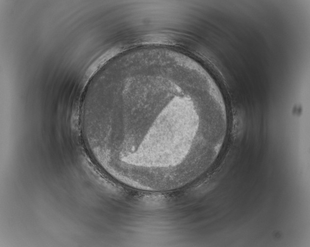 X0000113930882200910231919