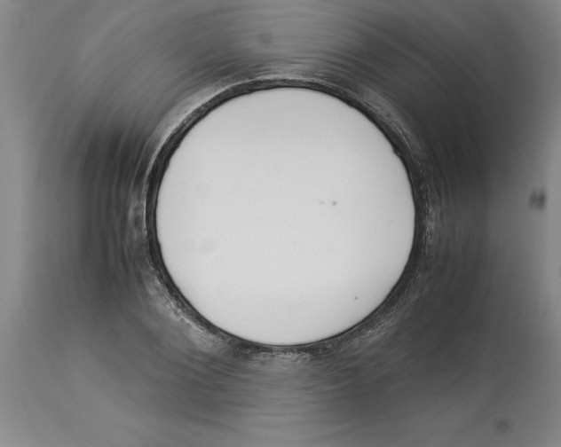 X0000113930884200910231919